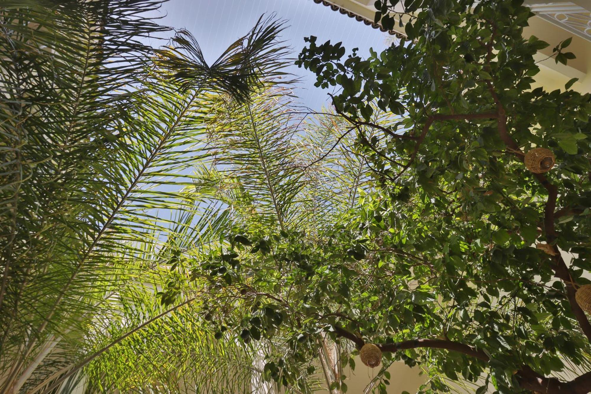 Riad Naanaa Bed & Breakfast مراكش المظهر الخارجي الصورة
