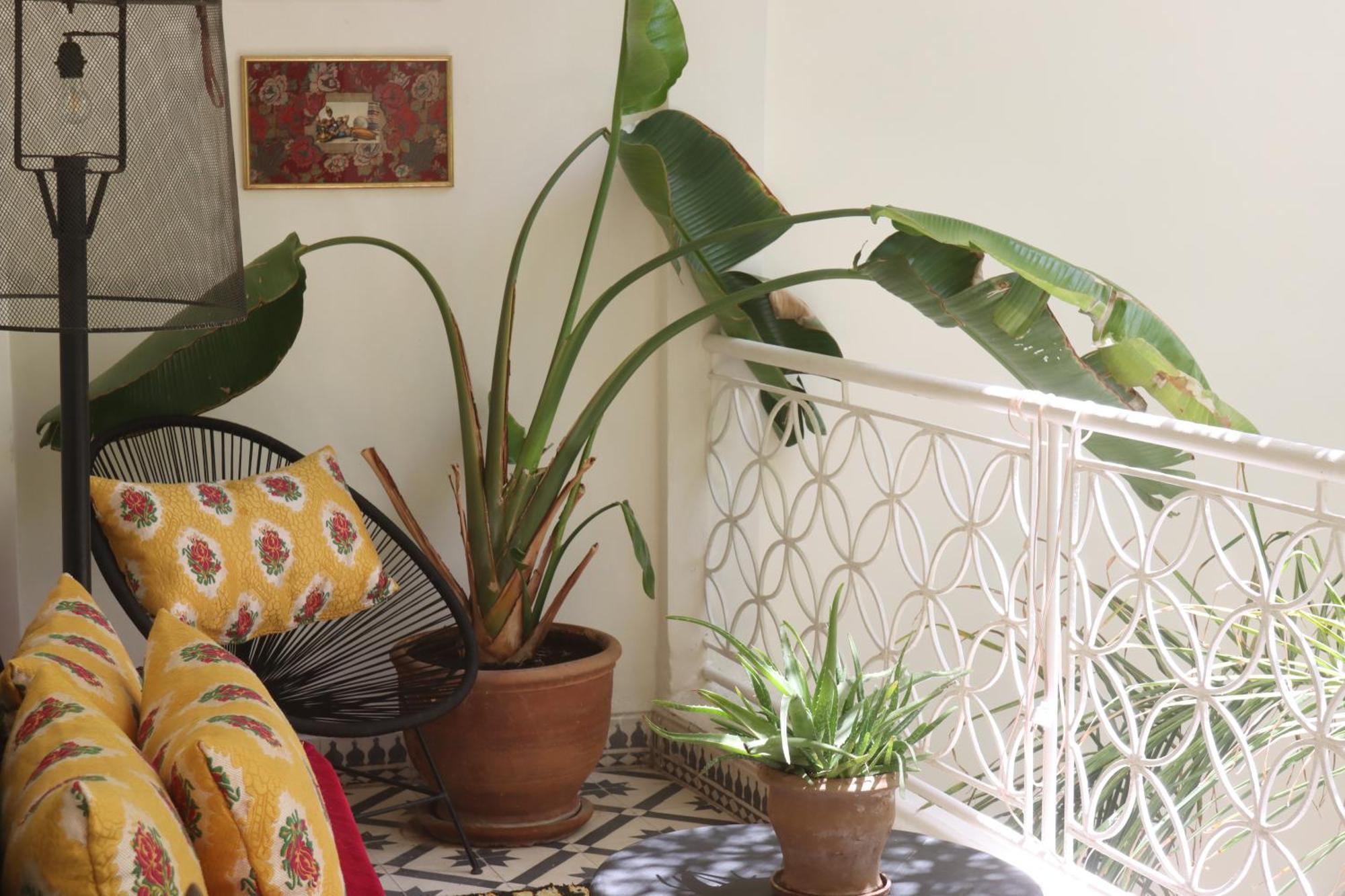 Riad Naanaa Bed & Breakfast مراكش المظهر الخارجي الصورة